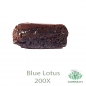 Mobile Preview: Blauer Lotus 200X HARZ-KONZENTRAT 2 Gramm