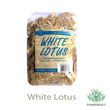 Weißer Lotus - 10 Samen